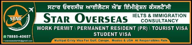 Star Overseas consultant