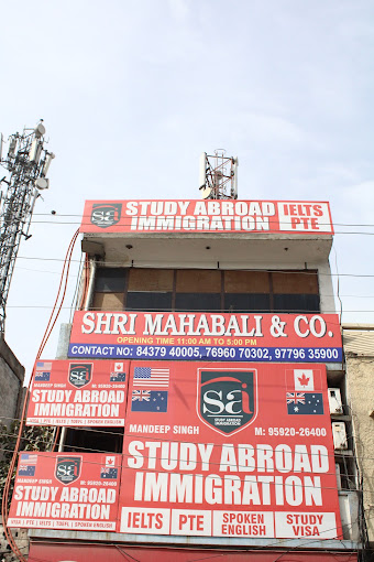 Study Abroad Immigration