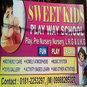 Sweet Kids Play Way School
