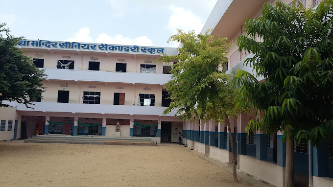Tagore school