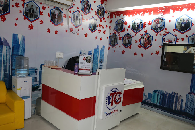 Team Global immigration Consultant