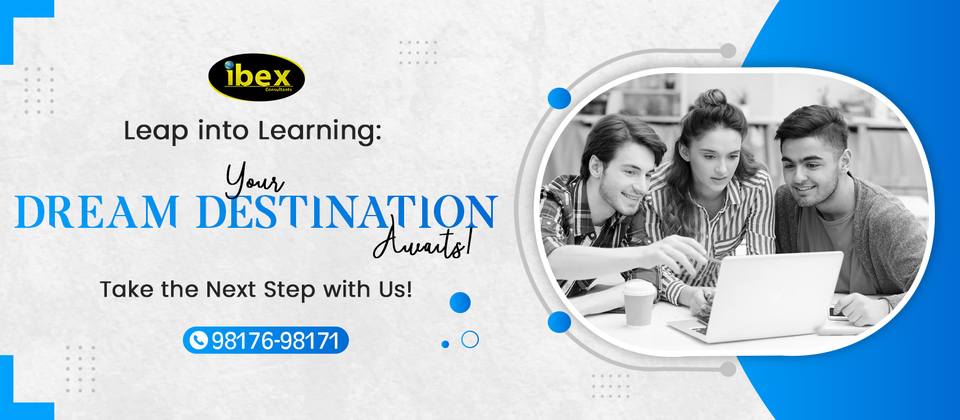 The ibex Consultants