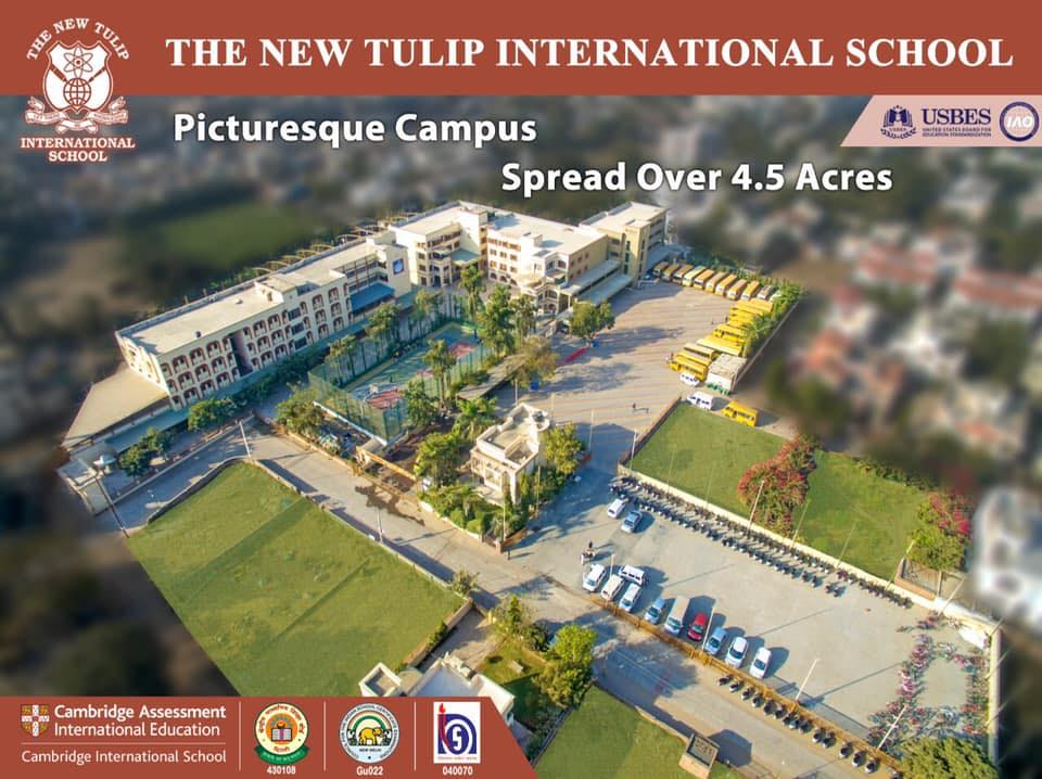 The New Tulip International School