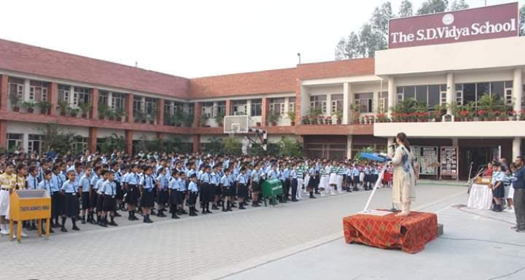 The S.D. Vidya School