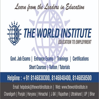 The World Institute