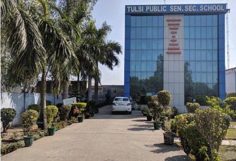 Tulsi Public Sen. Sec. School