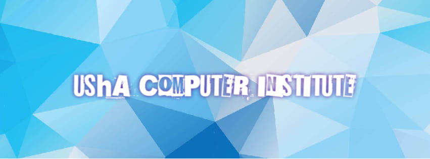 Usha Computer Institute