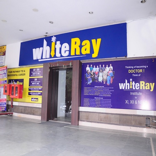 whiteRay Institute