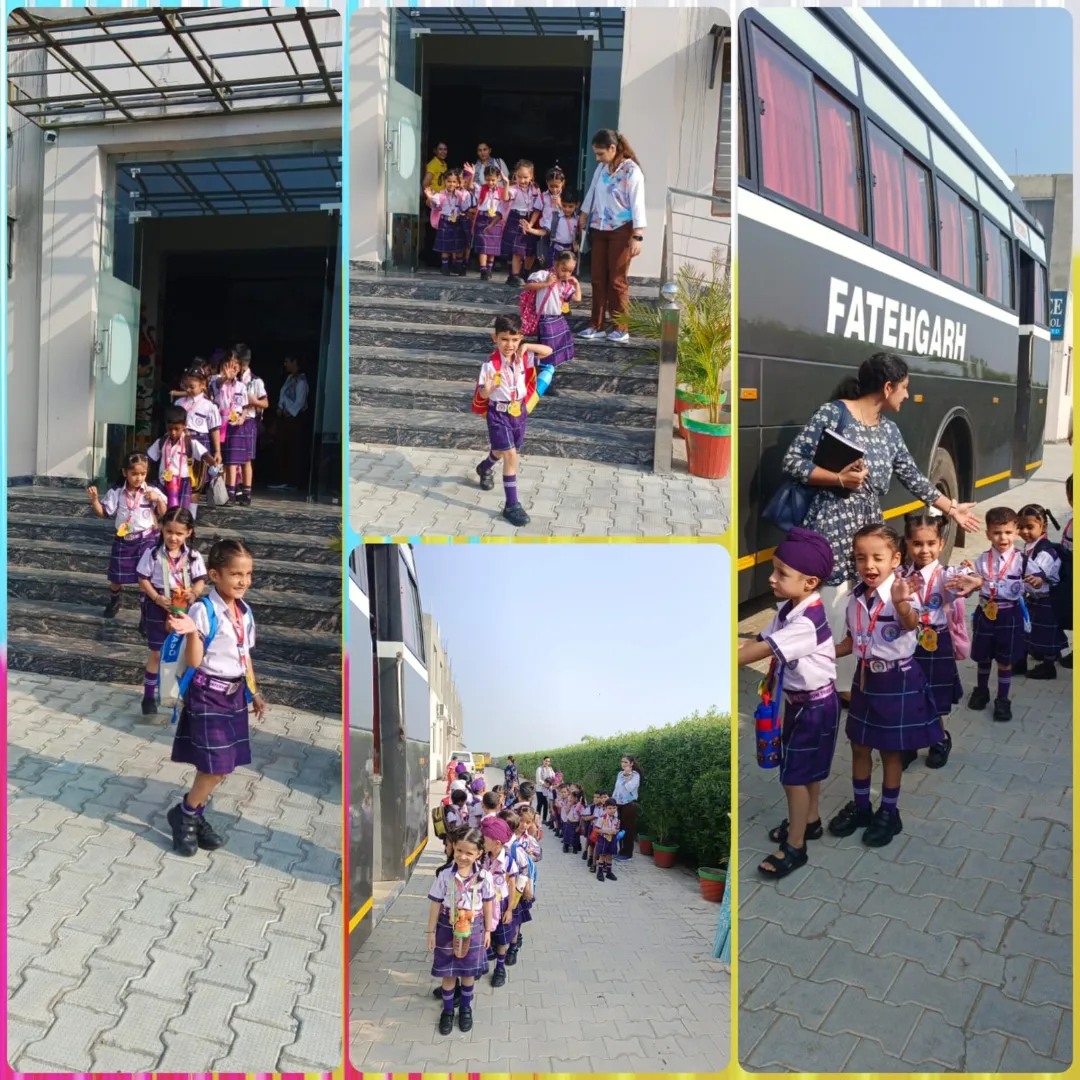 Wisdom Tree International School