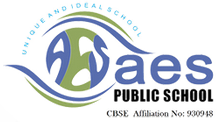 AES Public School