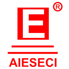 AIESECI Institute