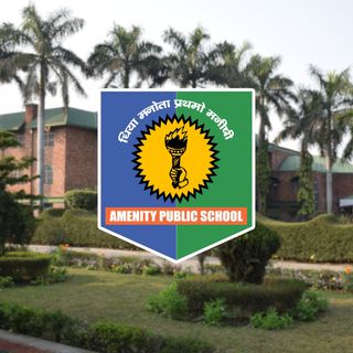 Amenity Public School