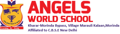 Angels World School