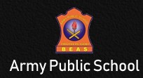 Army Public school