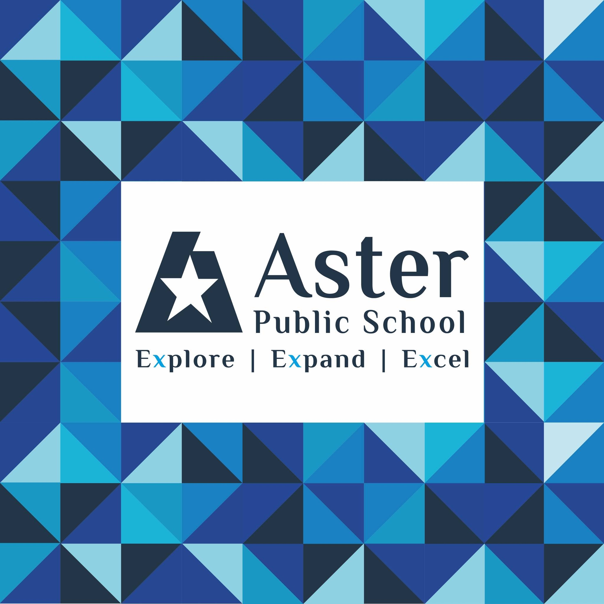 Aster Public School