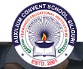 Auxilium Convent School