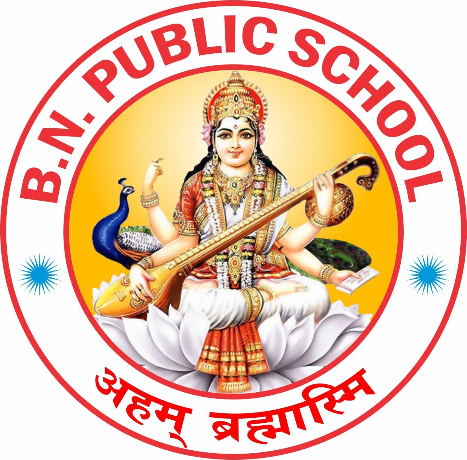 B. N. Public School