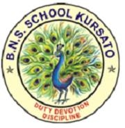 B. N. S. School