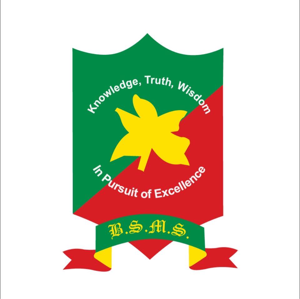 B. S. Memorial School