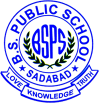 B. S. Public School