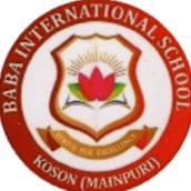 Baba International School