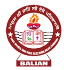 Baba Shaheed Singh Public School