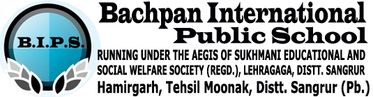 Bachpan International Public School