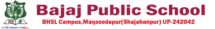 Bajaj Public School