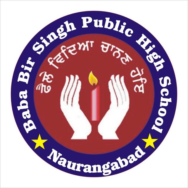 Baba Bir Singh Public High School