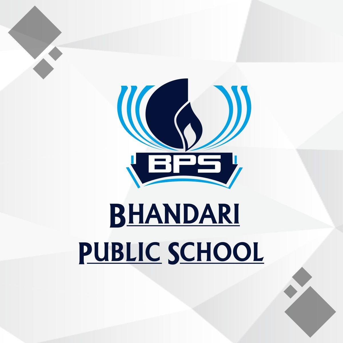 Bhandari Public School