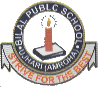 Bilal Public School