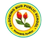 Blooming Bud Public School