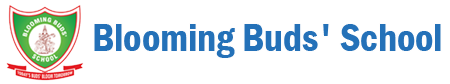 Blooming Buds School