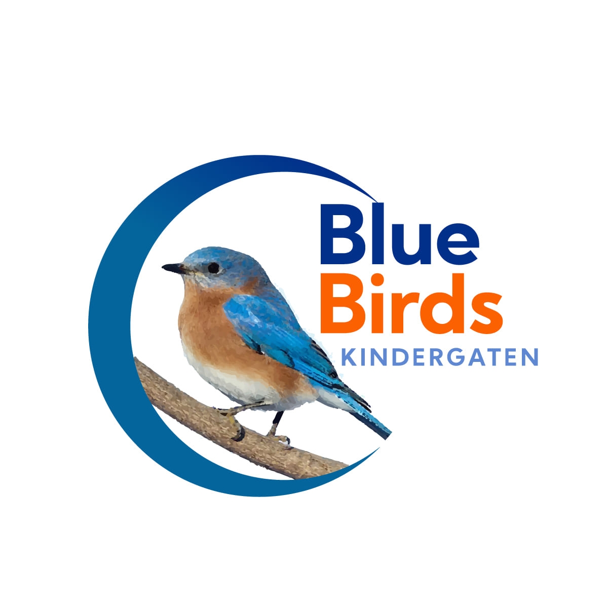 BlueBirds Kindergarten