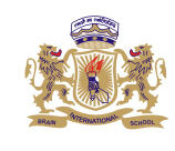 Brain International School