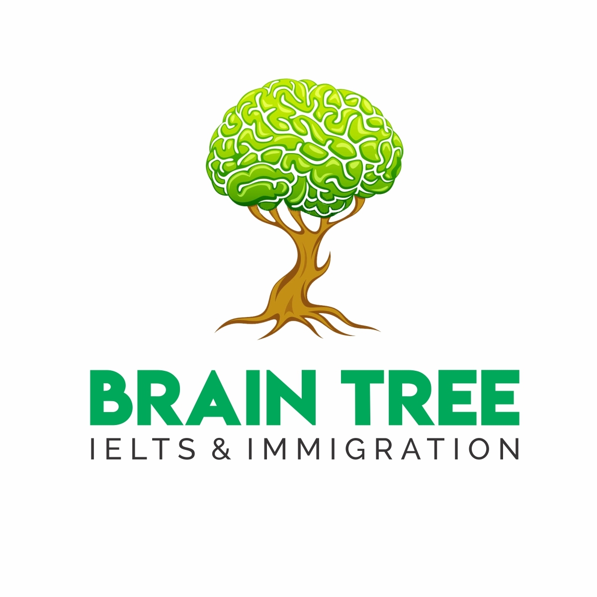 Brain Tree Ielts & Immigration