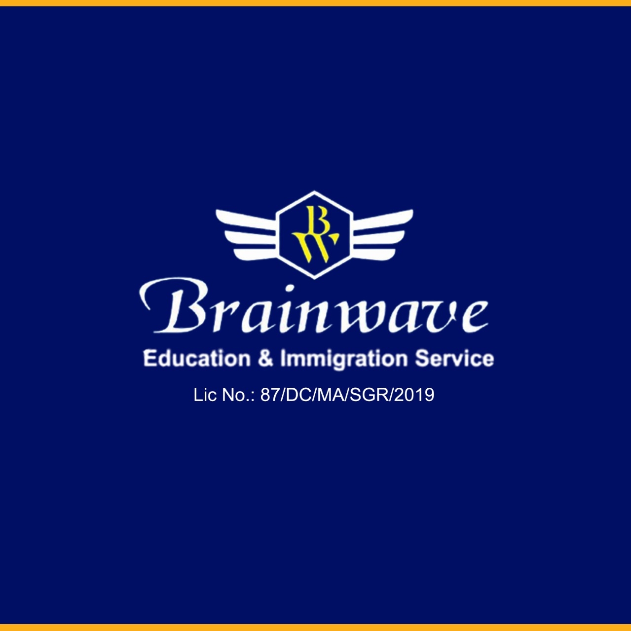 Brainwave Education & Immigration Services