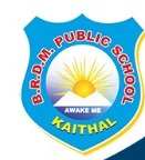 Brdm Public School