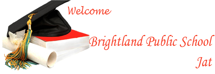 Bright land Public School