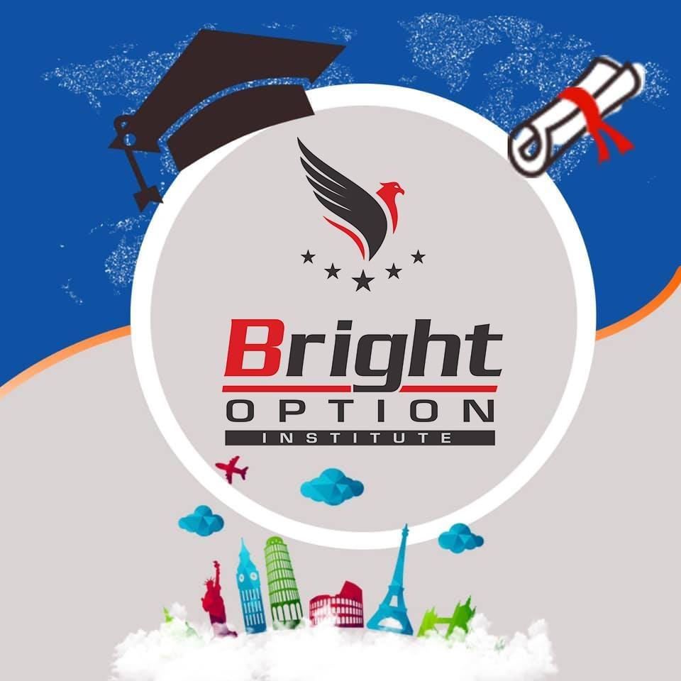 Bright Option Institute