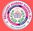 Brilliant Academy School