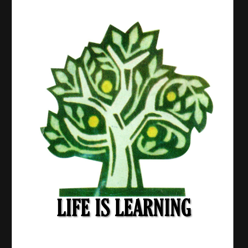 Buddha Woodland School