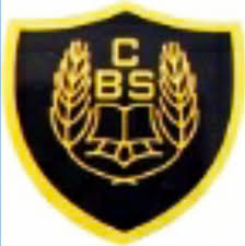 C B S Public School, khair