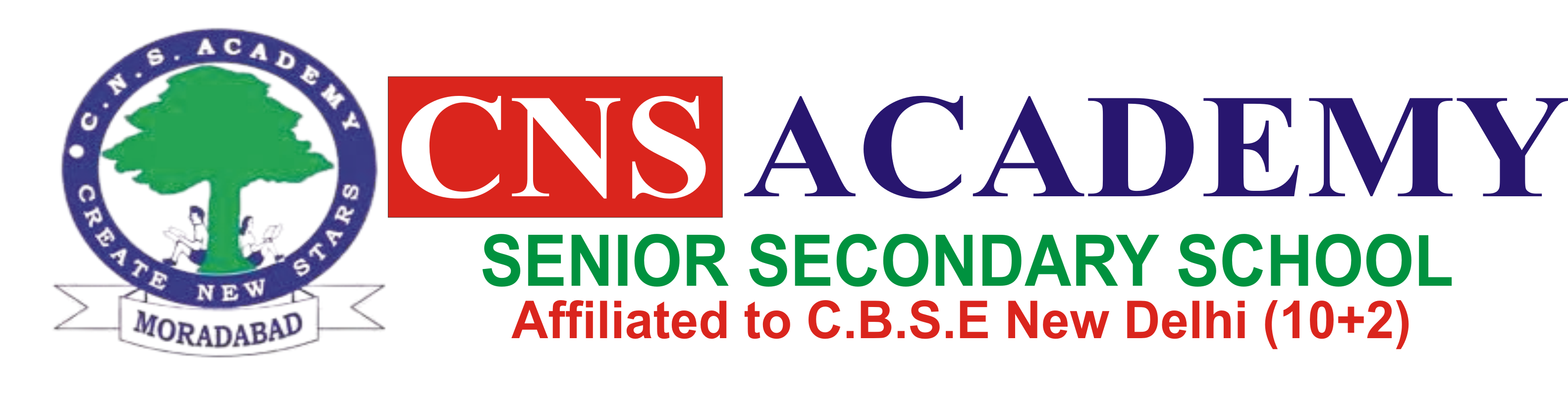 C. N. S. Academy