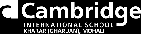 Cambridge International School