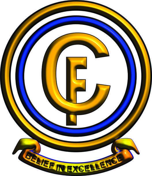 Camford Institute of Ielts & Career Consultancy