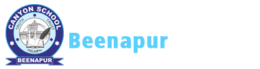 Canyon School Beenapur
