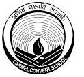 Carmel Convent School