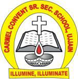 Carmel Convent Sr. Sec. School