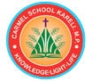 Carmel School Kareli
